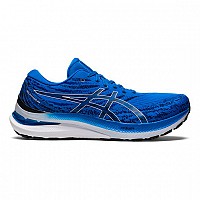 SHOES ASICS GEL KAYANO 29 1011B440 400