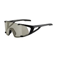 SUN GOOGLES ALPINA HAWKEYE Q-LITE BLACK MATT