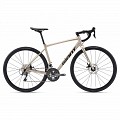 KOLO GIANT CONTEND AR 2 Sandshell 2024 