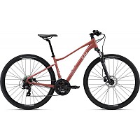 BIKE GIANT / LIV ROVE 4 DD 2024 S TERRA ROZA