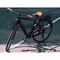 E-BIKE MOMENTUM VOYA E+ 2, 250Wh