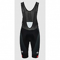 KOLESARSKE HLAČE  UAE REPLICA  UAEM09R 25 SHORTS