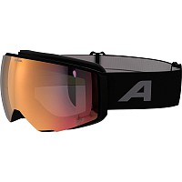 OČALA ALPINA GRANBY 2 QV GOLD BLACK 7328 732