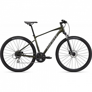 GIANT ROAM 3 DISC 2024, L