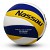 VOLLEYBALL NASSAU PREMIUMM PATRIOT