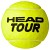 ŽOGE HEAD TOUR 4B