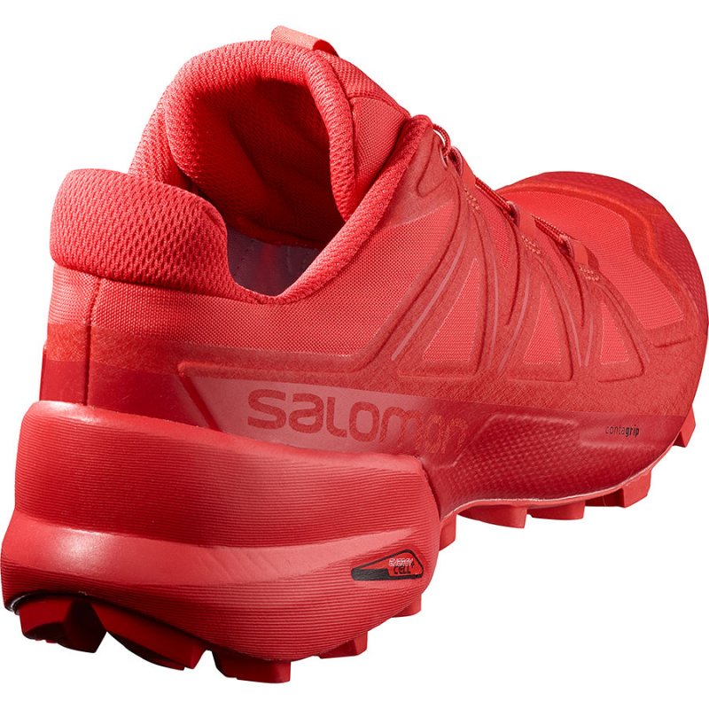 salomon speedcross 5 cena
