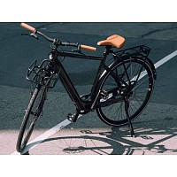 E-BIKE MOMENTUM VOYA E+ 2, 250Wh